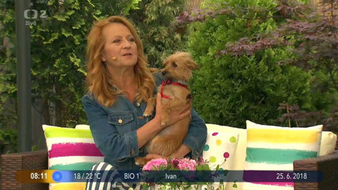 Dobré ráno - 25. června 2018