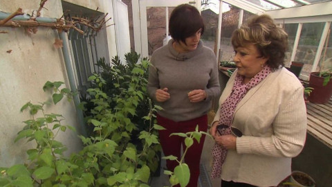 Hobby naší doby - Hobby naší doby - letní speciál