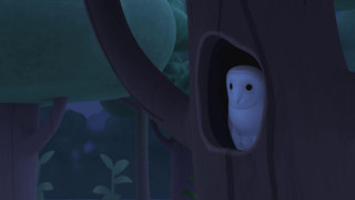 Leo, strážce přírody