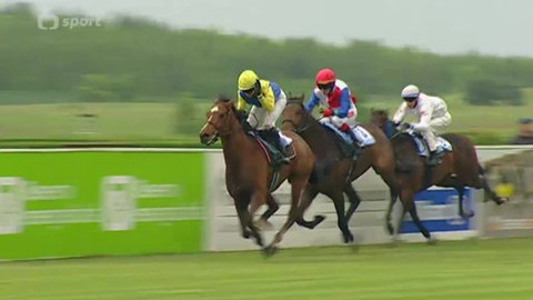 Turf - 30. července 2014