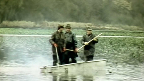 Archiv dne - 15. listopad 1989: Novozámecký rybník