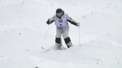 Světový pohár ve freestyle lyžování - Švédsko