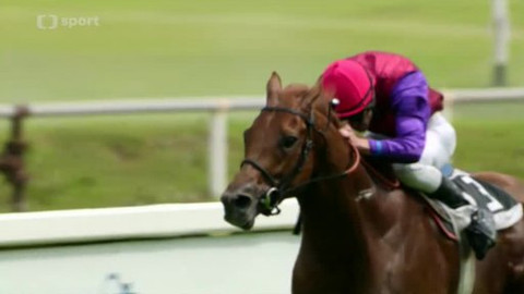 Turf - 24. července 2013