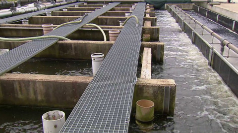 Obnovujeme venkov - Operační program rybářství