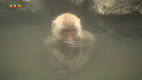 Zprávičky - 10. dubna 2018