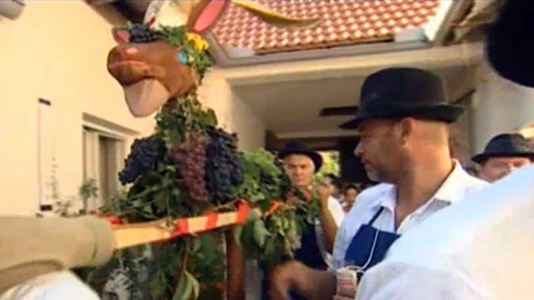 Náš venkov - Hroznová koza