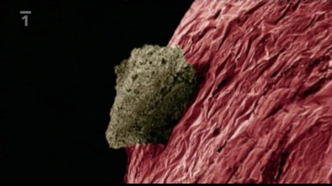 Kaleidoskop - 4. dubna 2010