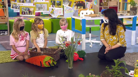 UčíTelka - Člověk a jeho svět