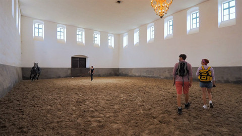 Tamtam - Tamtam Plus