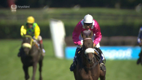 Velká pardubická - Pohár Slavia pojišťovny - IV. kvalifikace na 134. Velkou pardubickou se Slavia pojišťovnou