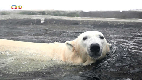 Zprávičky - 28. února