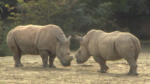 Chcete mě? - 3. prosince 2017