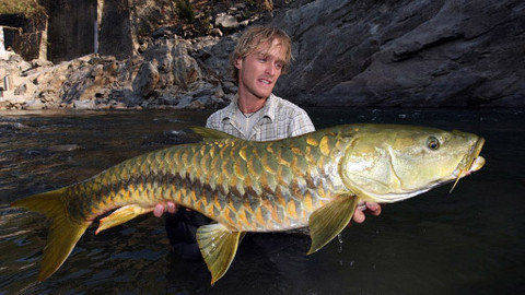 Rybí legendy Jakuba Vágnera - Indie