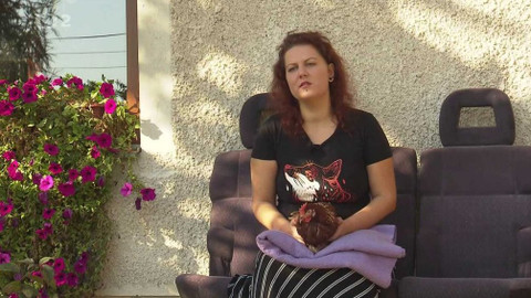 Nedej se! - Pomáhají slepicím