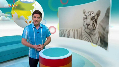 Zprávičky - 23. května 2017