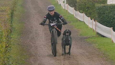 MS v individuálním mushingu 2025 Česko