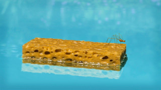 Mrňouskové II