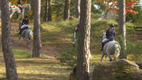 Zprávičky - 24. října 2024