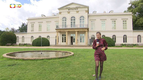 Zprávičky - 4. srpna 2023