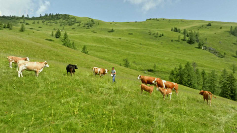 Půvab rakouských hor - 1/5 Cesta po Karavankách