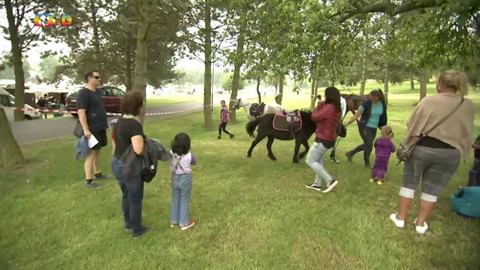 Zprávičky - 18. května 2018