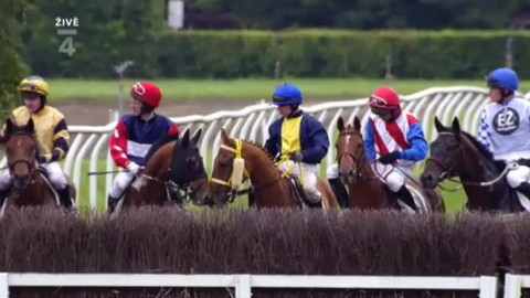 Jezdectví - Zlatý pohár