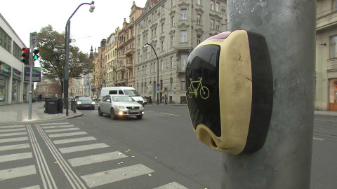 Černé ovce - 8. ledna