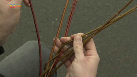 Zprávičky - 31. března 2018