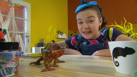 Terčin zvířecí svět - 17. května 2019