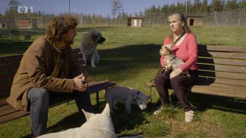 Kočka není pes - Třínohá Lia a uštěkaná Ťapka s Dášenkou