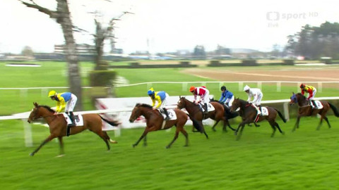 Dostihy - Jarní cena města Pardubic