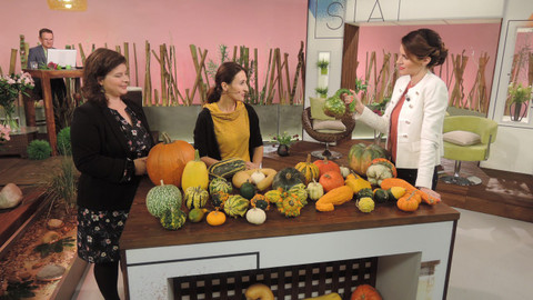 Sama doma - 12. října 2017