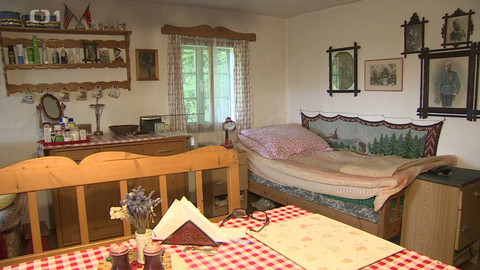 Toulavá kamera - 18. srpna 2024