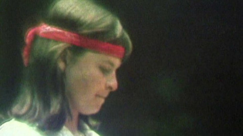 Archiv D - Hana Mandlíková