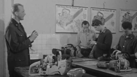 Československá expedice - Dřevo se listím odívá