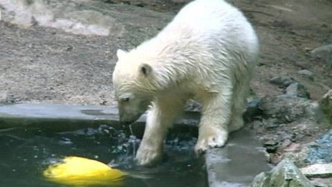 Toulavá kamera - 9. června 2013