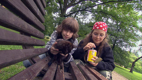 Zoománie - Epizoda 9/17