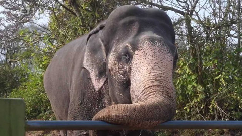 Objektiv - 9. května 2021