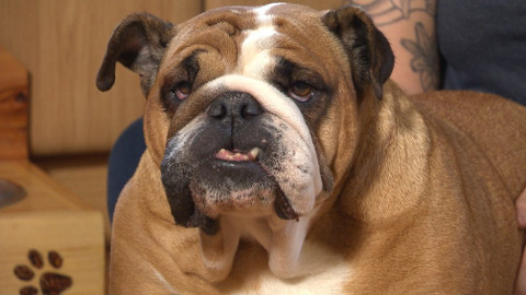 Chcete mě? - 8. března 2020