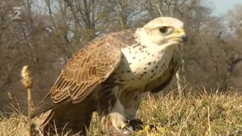 Přidej se - Natura 2000