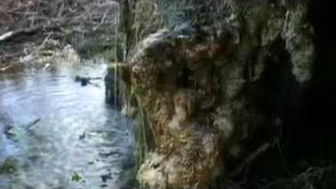 Živé srdce Evropy - Pěnovec