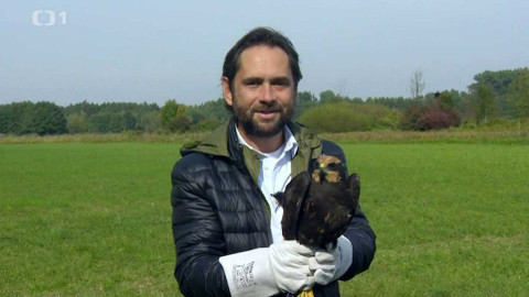 Polopatě - 16. října 2016