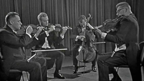 Zaostřeno na hudbu - Jak posloucháme hudbu