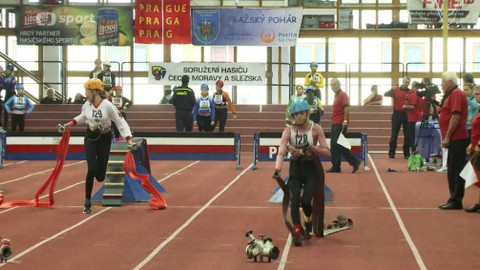 Sport v regionech - Memoriál Marty Habadové