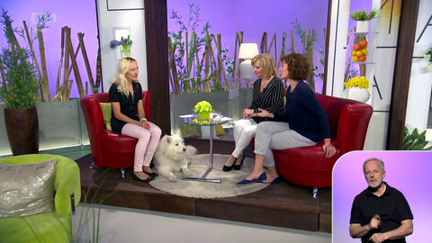 Sama doma - 26. března 2019