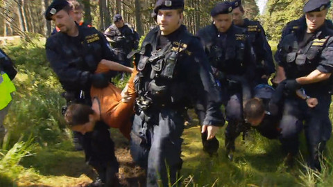 Nedej se! - Přivázal ses na Šumavě ke stromu? Byl jsi v právu!