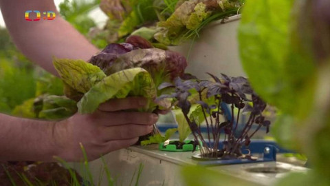 FUTURO - 9/12 Chytrá příroda