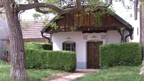 Toulavá kamera - 14. června 2020