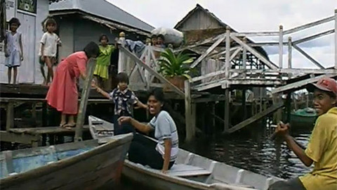 Cestománie - Borneo