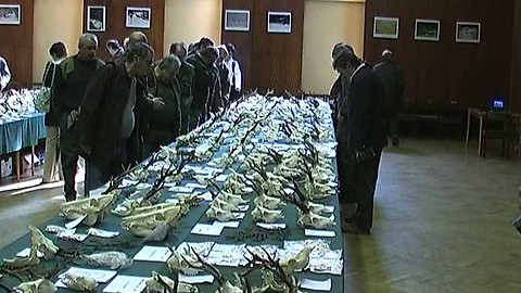 Digináves - 27. dubna 2008